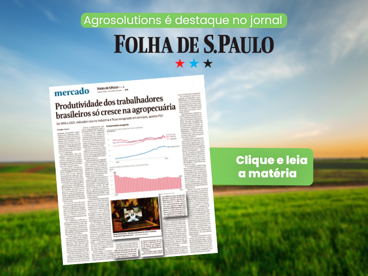 reportagem