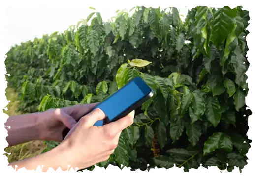 AgroSolutions